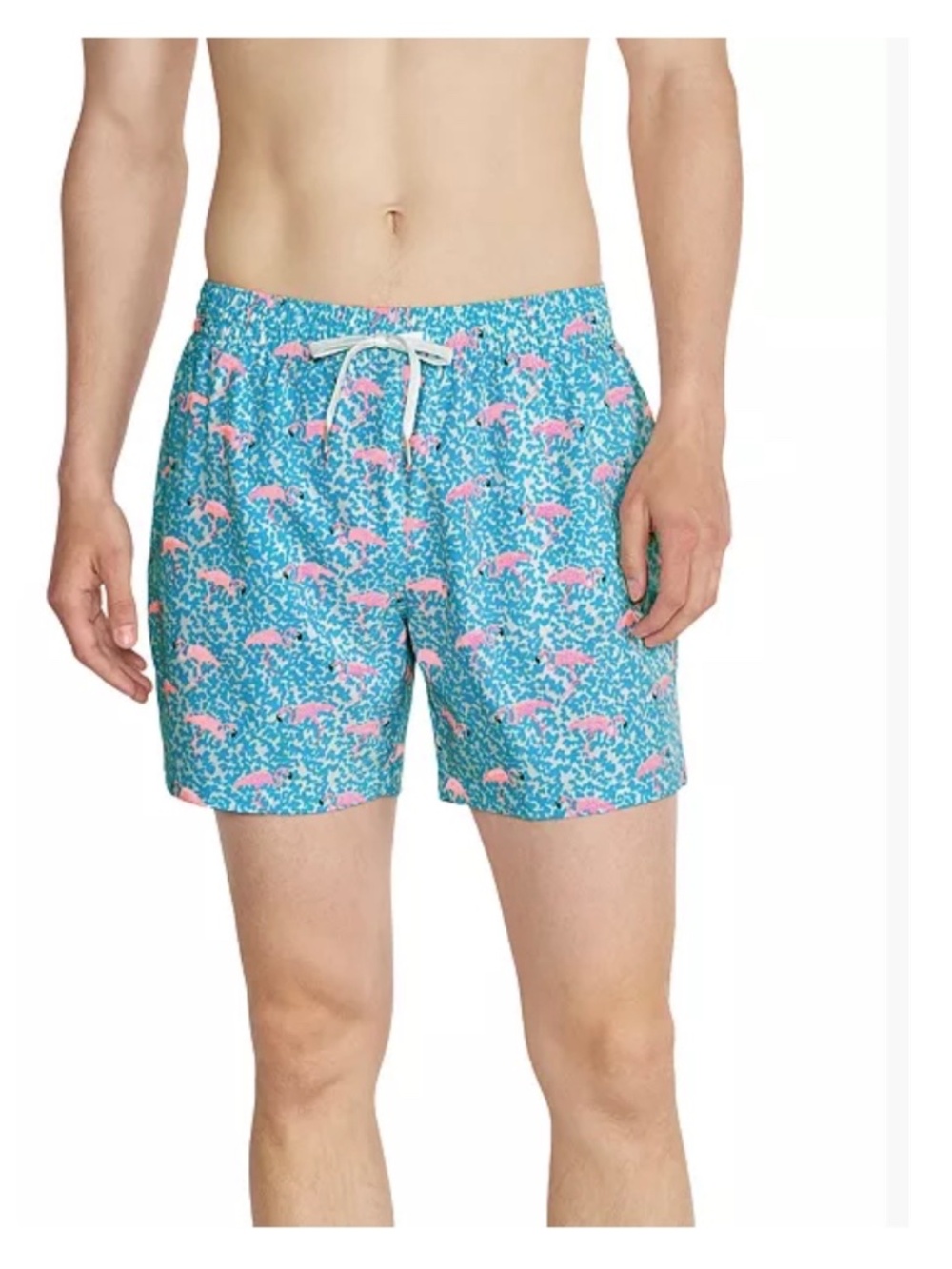 Chubbies The Domingos Are For Flamingos 5.5" Swim Trunks Shorts Aqua Pink  Large